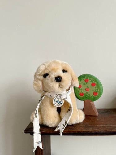 Lulu the Labrador