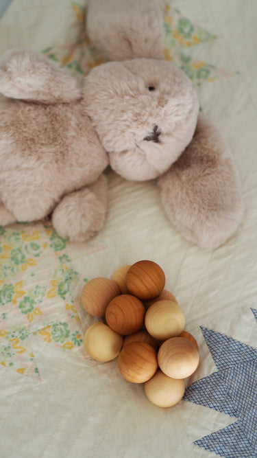 Bubbles the Bunny