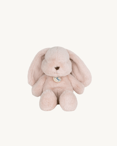 Bubbles the Bunny