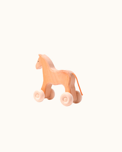 Willy the Wooden Horse