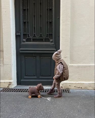 Raoul the Pull-along Bear